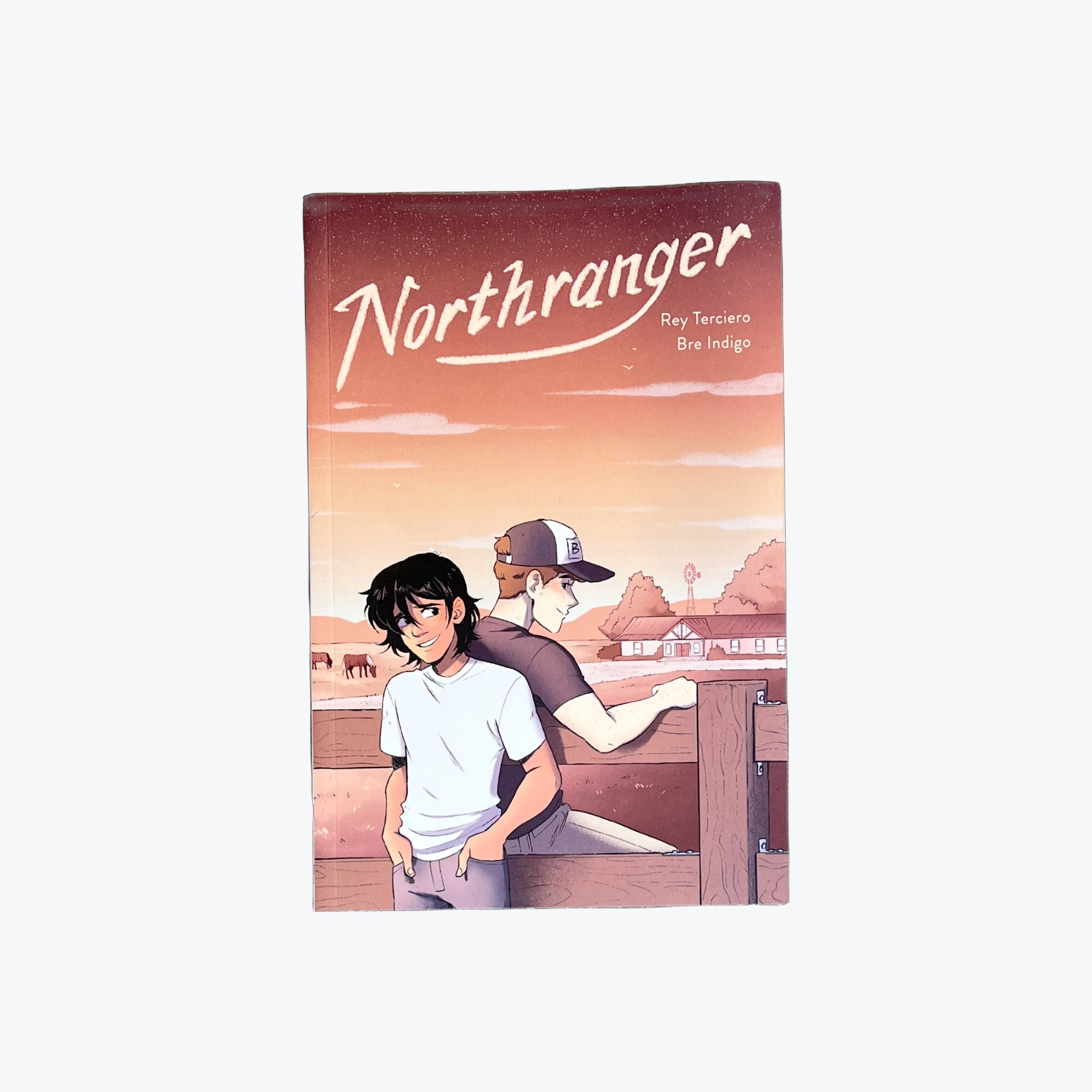 northranger-julia-de-burgos-bookstore